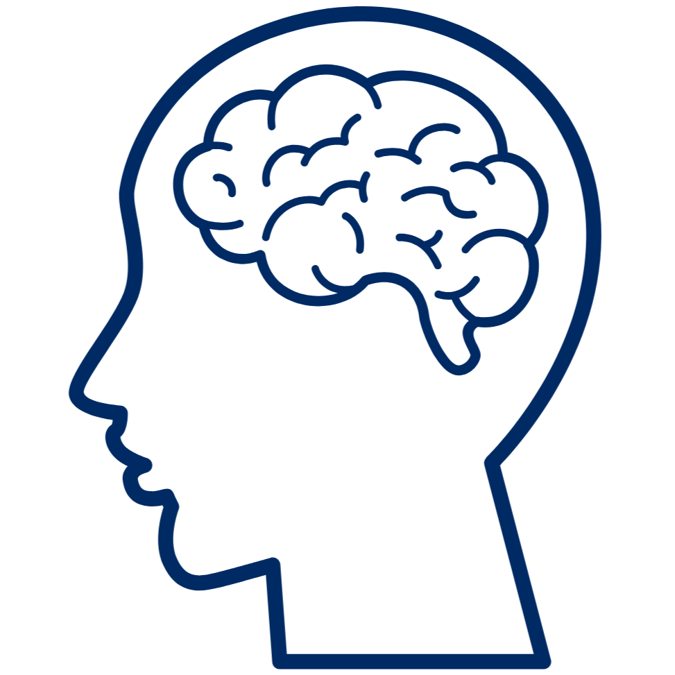 Outline of a head with a brain inside on a white background